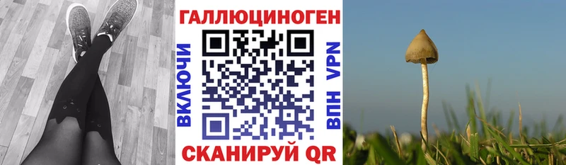 где продают   Солигалич  Псилоцибиновые грибы ЛСД 